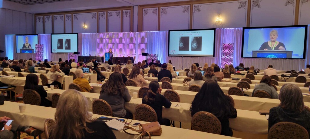 Louise Presenting at Conference